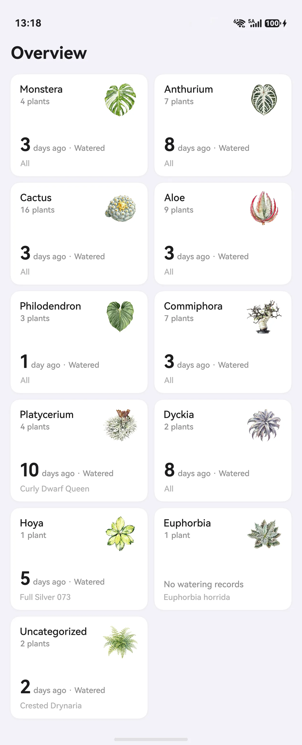 Care Overview
