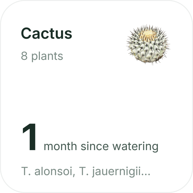 HarmonyOS widget: cactus, 8 plants, 1 month since watering